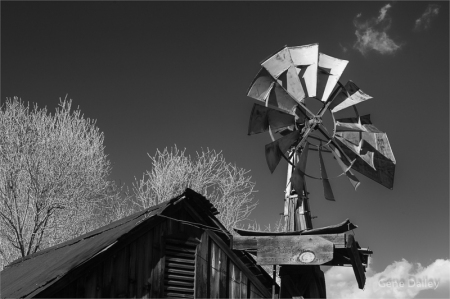 Barn and Windmill, 2010